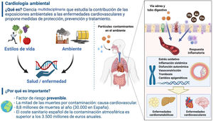 Imagen extra