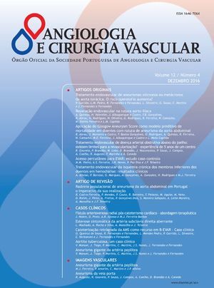 portada-S1646706X16X00055