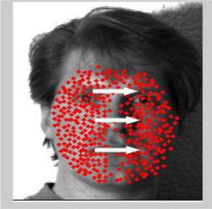 N number of points on the face from left to right.
