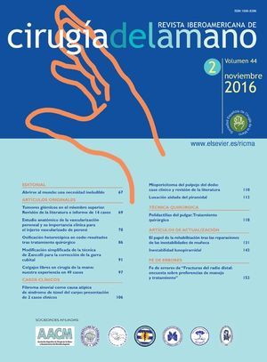 Revista Iberoamericana de Cirugía de la Mano